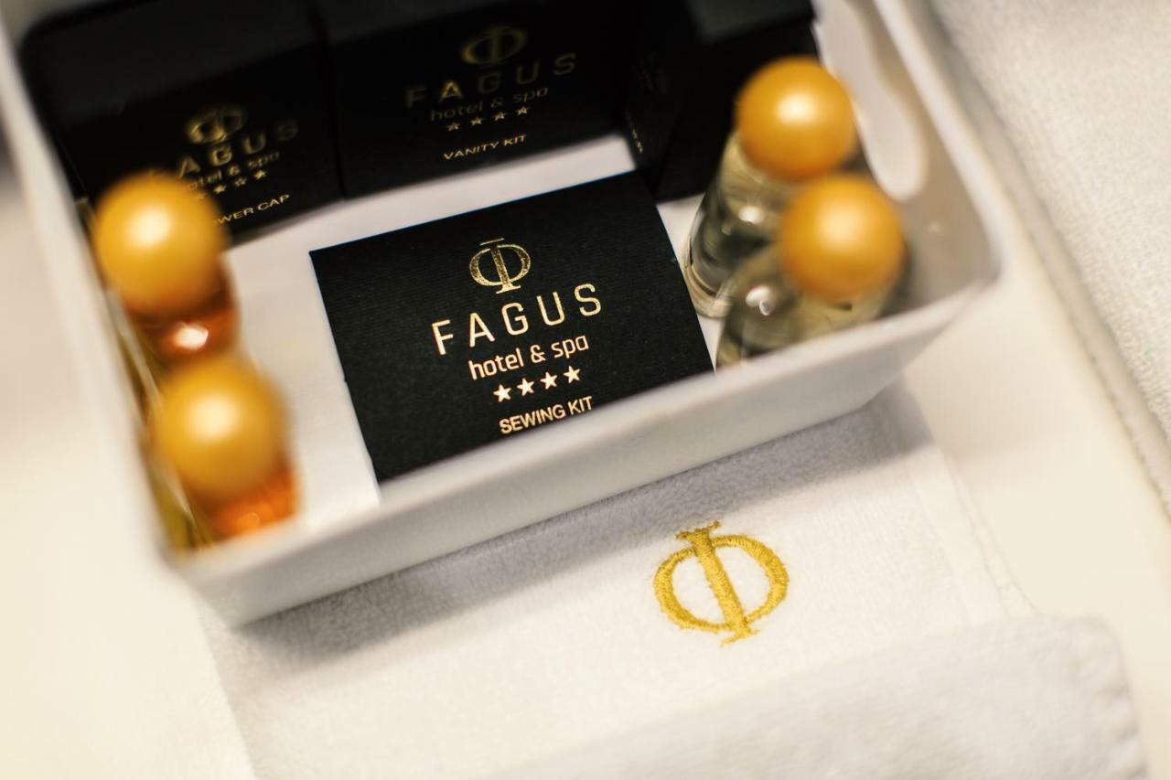 Hotel Fagus By Aycon 4*